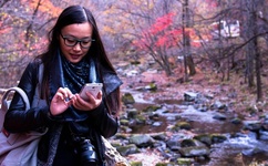 野花直播免费观看日本更新